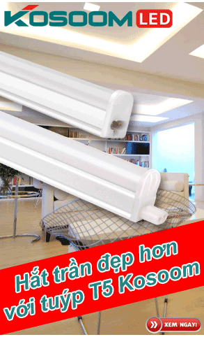 den-tube-led-t5-kosoom